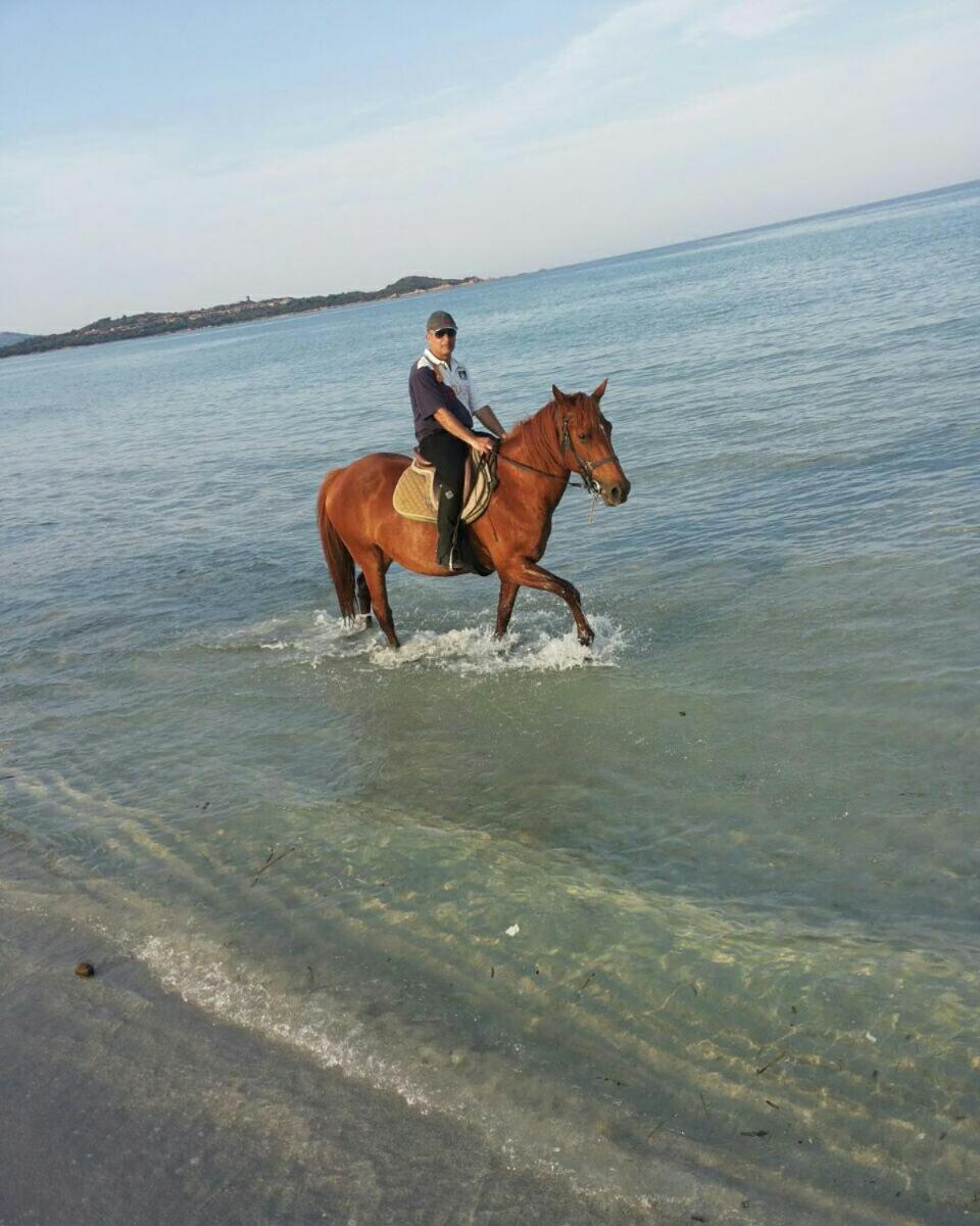 Villa Dettori San Teodoro  Esterno foto