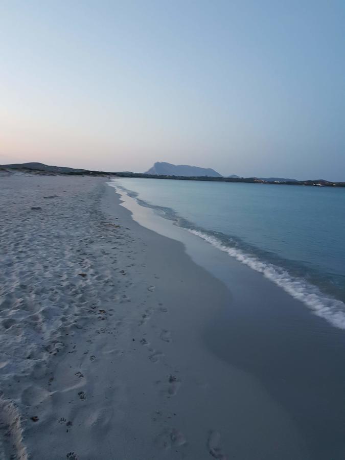 Villa Dettori San Teodoro  Esterno foto