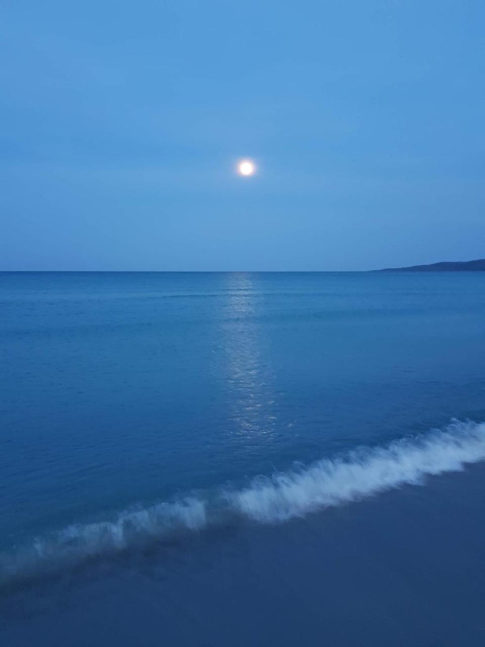 Villa Dettori San Teodoro  Esterno foto