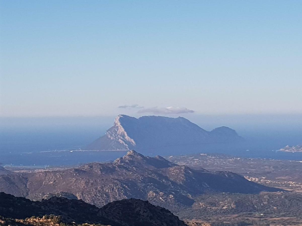 Villa Dettori San Teodoro  Esterno foto