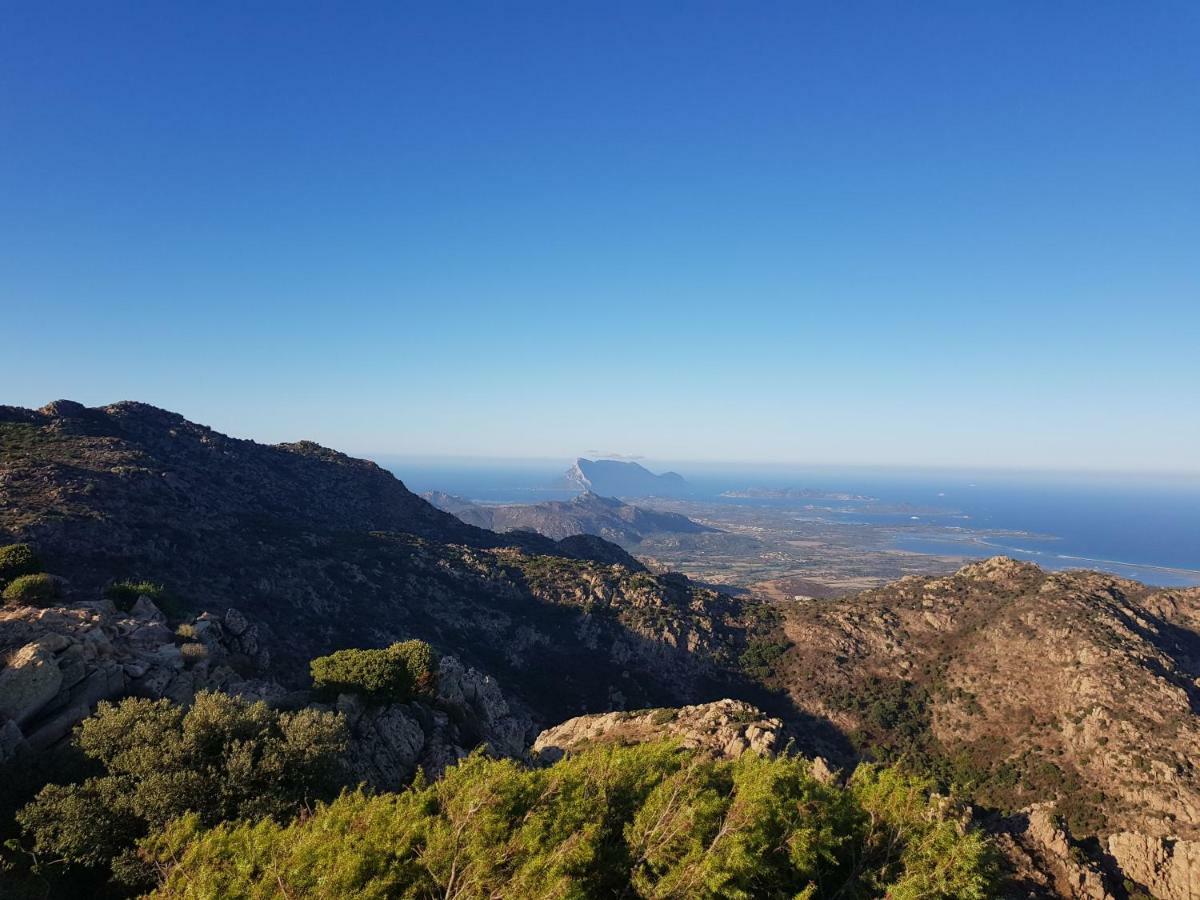 Villa Dettori San Teodoro  Esterno foto